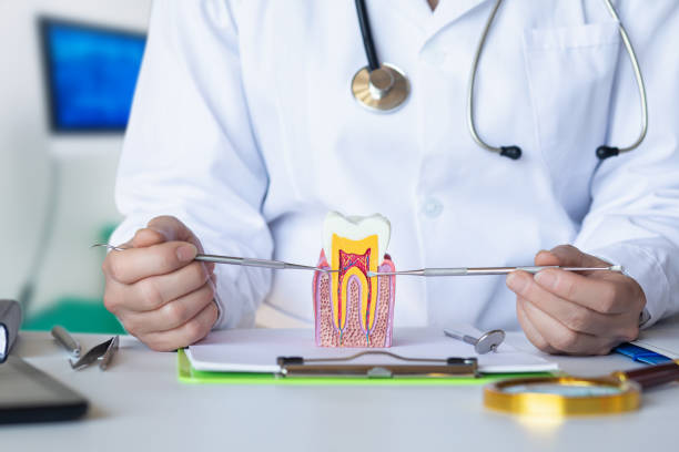 Best Pediatric Emergency Dentist in Cleora, OK